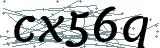 Fehler beim Laden des Captchas