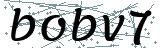 Failed to load captcha